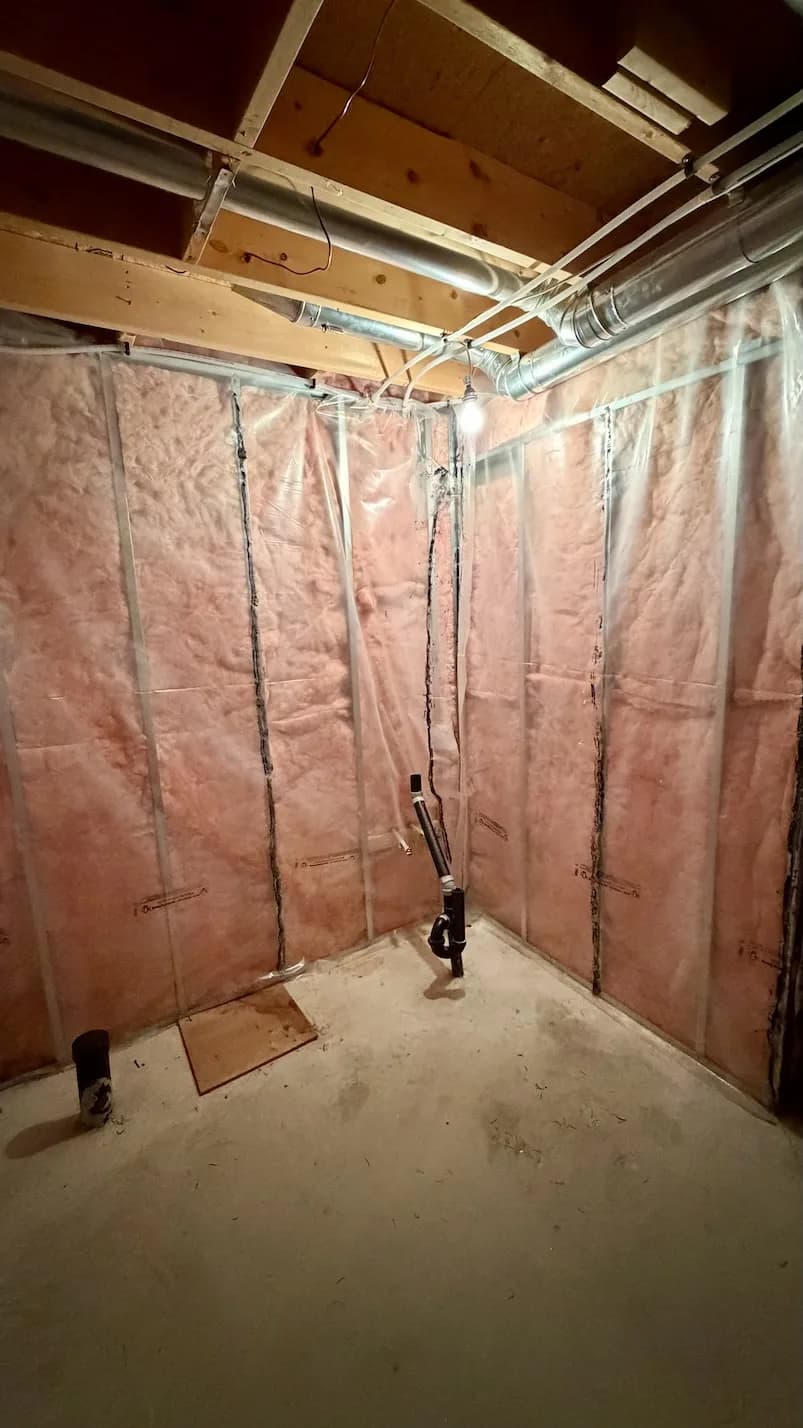 Unfinished basement bathroom before renovation